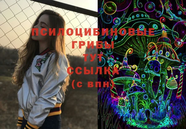 хмурый Армянск