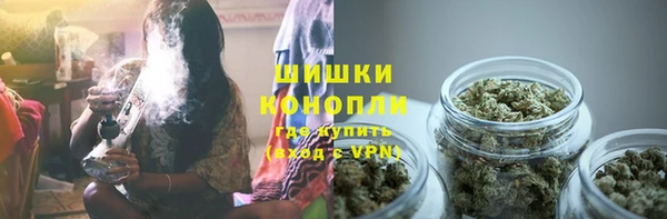 соль ск Арсеньев
