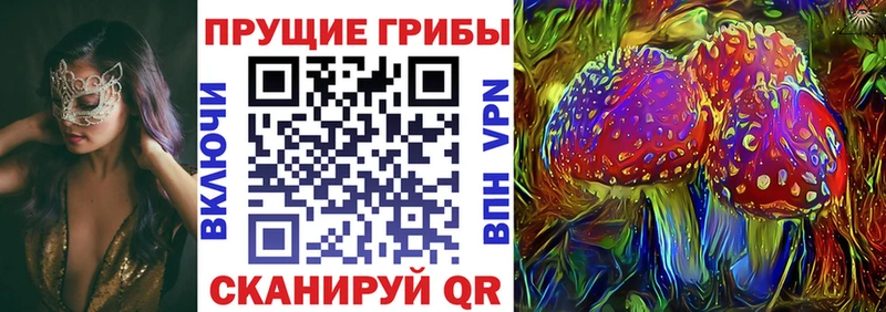 Галлюциногенные грибы Psilocybine cubensis  Белозерск 